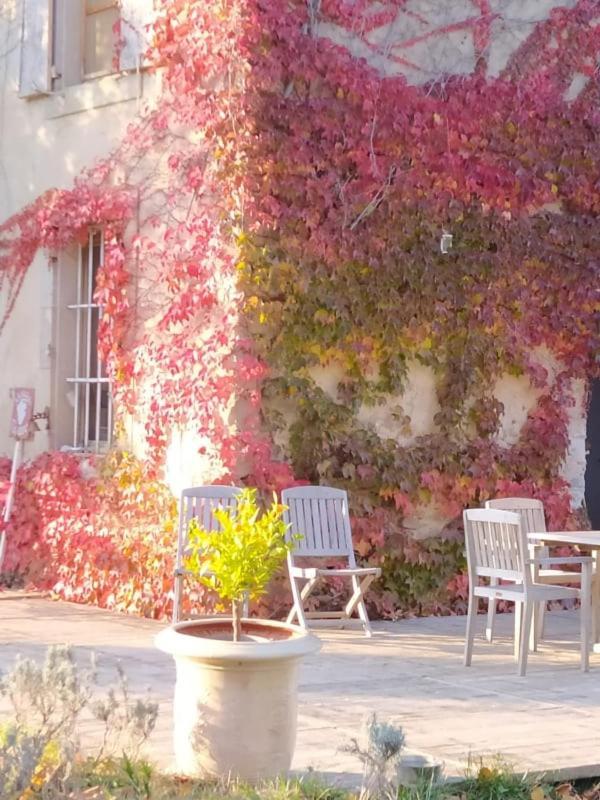 Les Amis De Gaure Apartment Rouffiac-d'Aude Luaran gambar